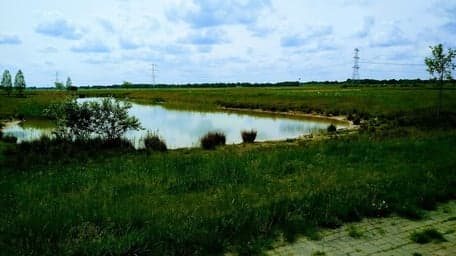 BSO Kinderopvang Meerdijk