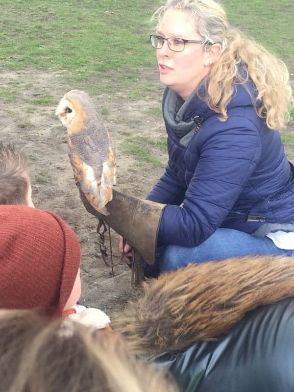 BSO Berenhuis, De Berenburcht, Kindcentrum Wij-land foto 5