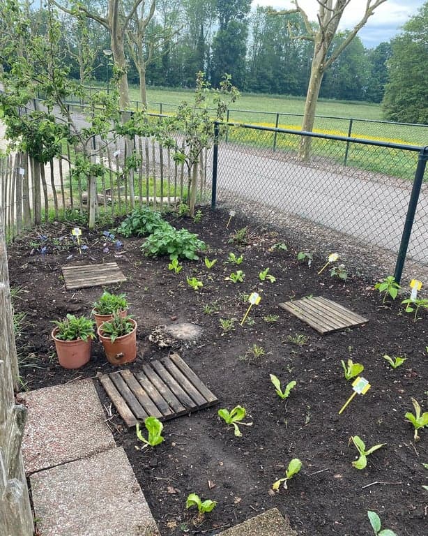 BSO De Speelunit foto 8