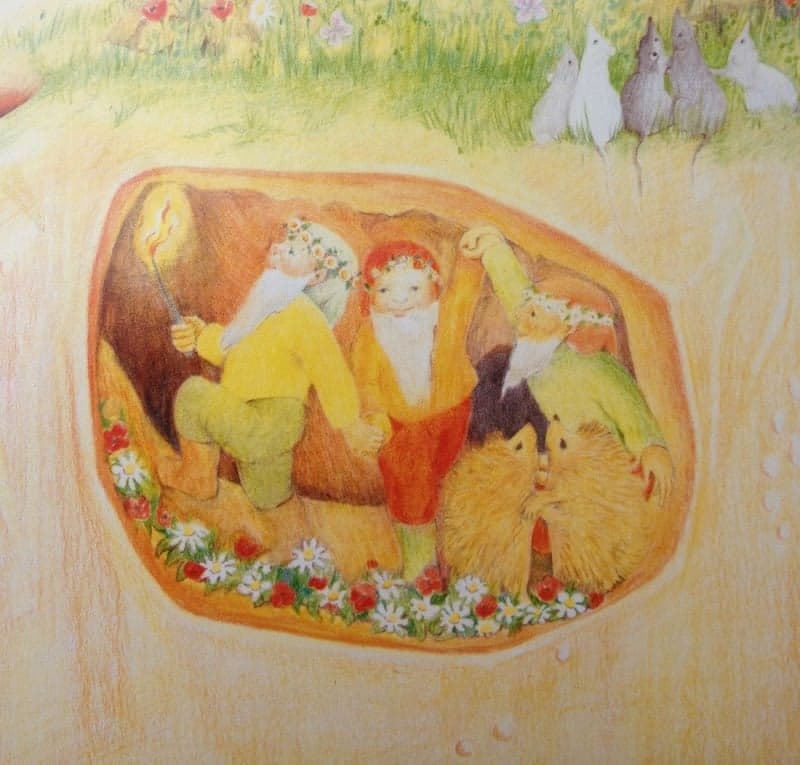 De Vlinderboom op School