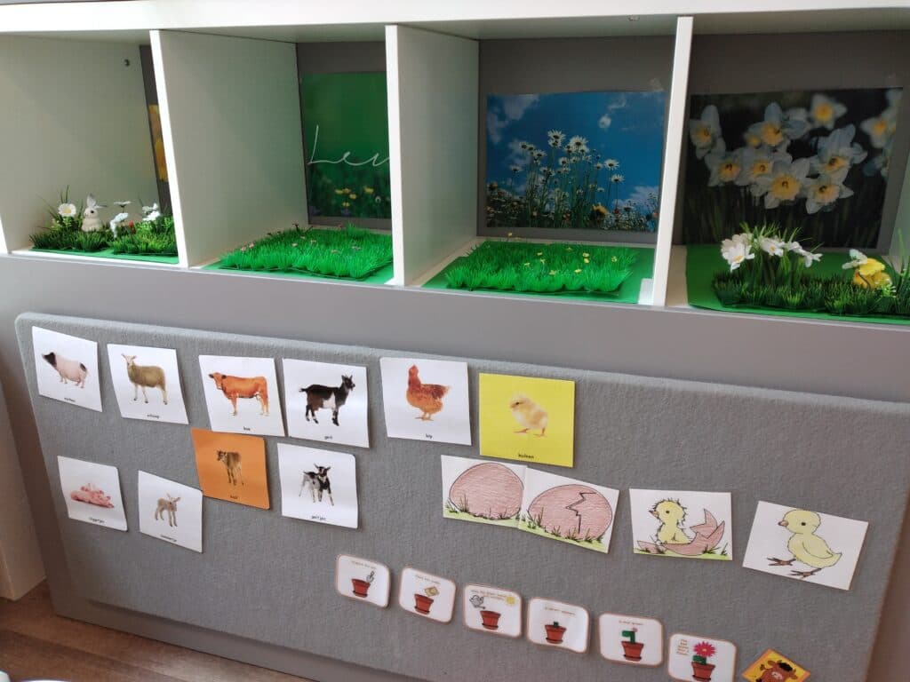 de Watermolen foto 5