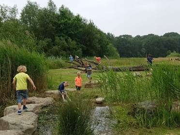 Dolfijn kinderopvang 2