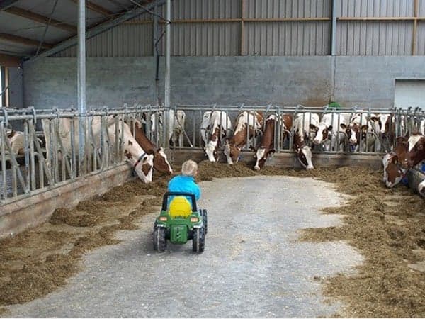 Kinderopvang 't Koetje 2