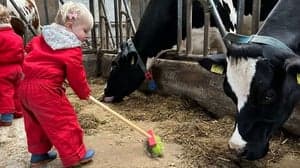 Kinderopvang 't Koetje foto 6