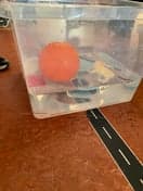 Doomijn Peuteropvang De Heezehummels foto 8