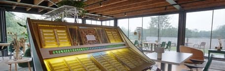 Bzzzonder Vermeerkwartier foto 4