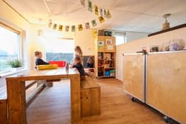 Doomijn BSO Stippestap foto 5