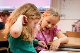 BSO Toermalijn foto 6