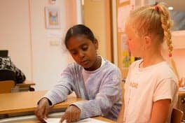 BSO Toermalijn foto 8