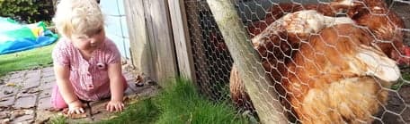 Onder de Perenboom 2