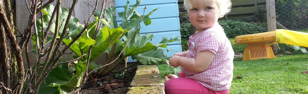 Onder de Perenboom foto 4