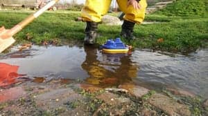 De Sterrenhoeve foto 6