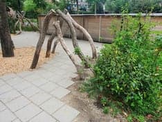 Hero Peuteropvang Betuwelaan 3