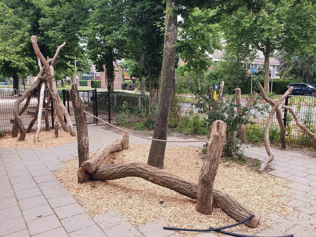 Hero Peuteropvang Betuwelaan foto 4