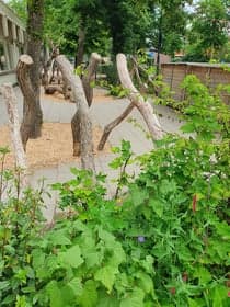 Hero Peuteropvang Betuwelaan foto 6