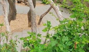 Hero Peuteropvang Betuwelaan foto 7