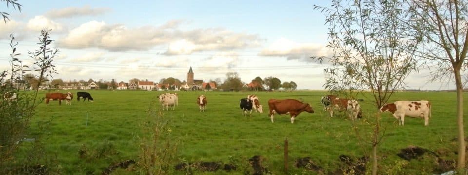 De Stadshoeve foto 4