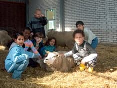 De Stadshoeve foto 5