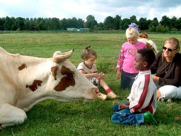 De Stadshoeve foto 6