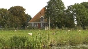 De Stadshoeve foto 10