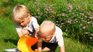 Wasko De Boerderij BSO 2