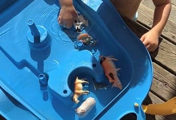 Stichting Kinderdagverblijf Tik-Tak foto 5