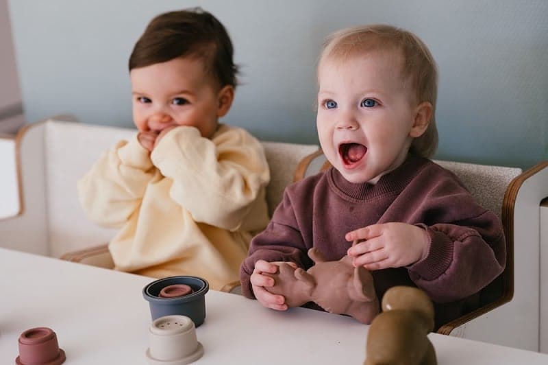 CompaNanny Reehorst B.V. 2