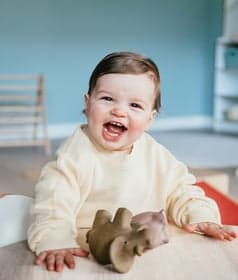 CompaNanny Reehorst B.V. foto 4