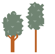 BSO de Verwondering foto 7