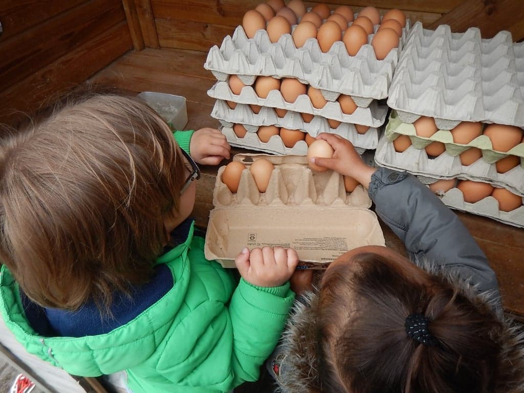 KDV De Speuldeel foto 6