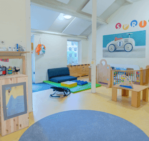 KC Vuurvogel foto 10