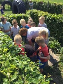 't Belhameltje - BSO de Kakels foto 7