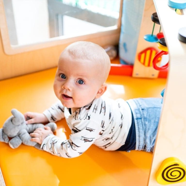 het Madeliefje foto 4