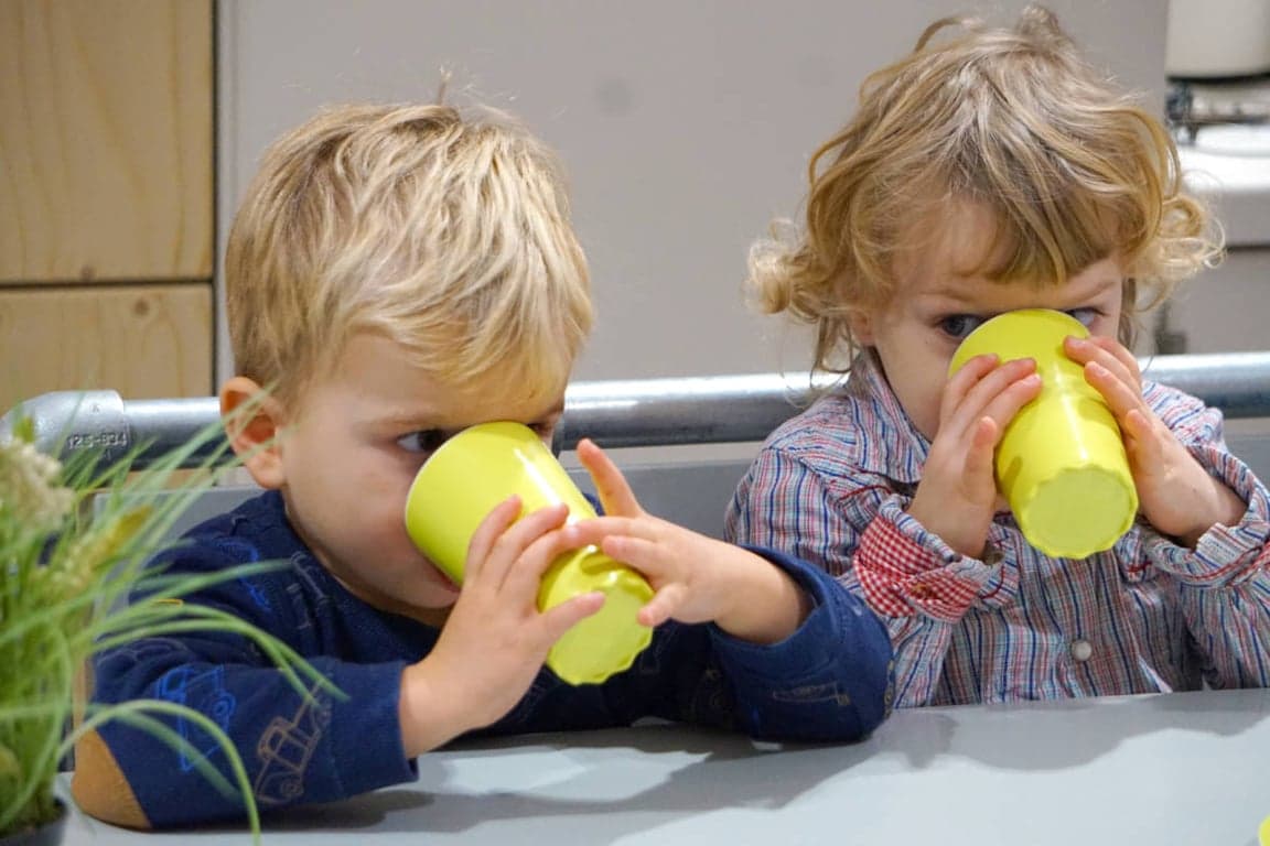 KDV Kerckebosch foto 9