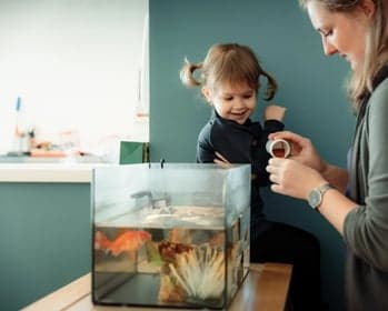 Stichting Abbo Kindcentra Kinderopvang - KDV Kindcentrum Kiezelrijk foto 9