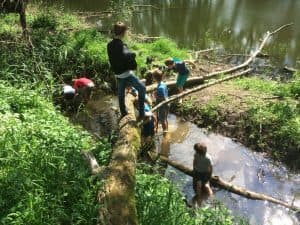 BSO de Toverfluit foto 8