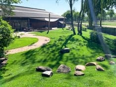 De Dierenvriendjes foto 6