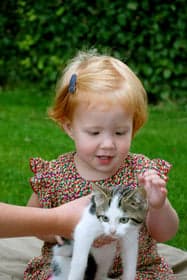 De Dierenvriendjes foto 7