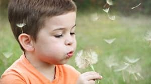 Prokino Wirre Warre POV foto 5