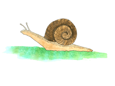 Stichting Het Peuterhuis 3