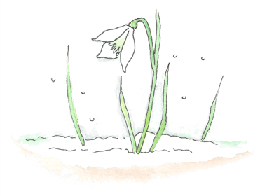 Stichting Het Peuterhuis foto 4