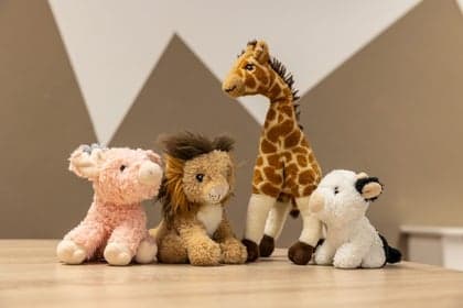 Kinderhotel 't Hofje foto 7