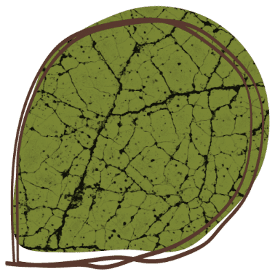 SamSam BSO Marcanti 498 foto 5