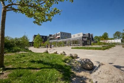 Doomijn BSO Schapendrift