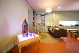 Doomijn BSO Schapendrift foto 6