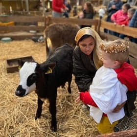 het Tuinhuis Bodegraven B.V. foto 9