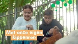 Stichting Abbo Kindcentra Kinderopvang - BSO Kindcentrum Kiemkade foto 6