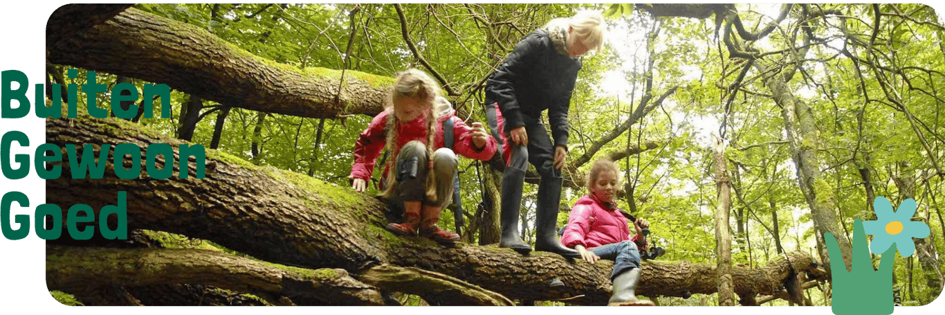 BSO Midas in 't Park 2