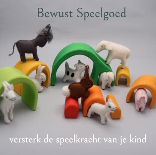 Kino-kinderopvang B.V. foto 5