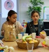 Speeltuin Het Honk foto 10